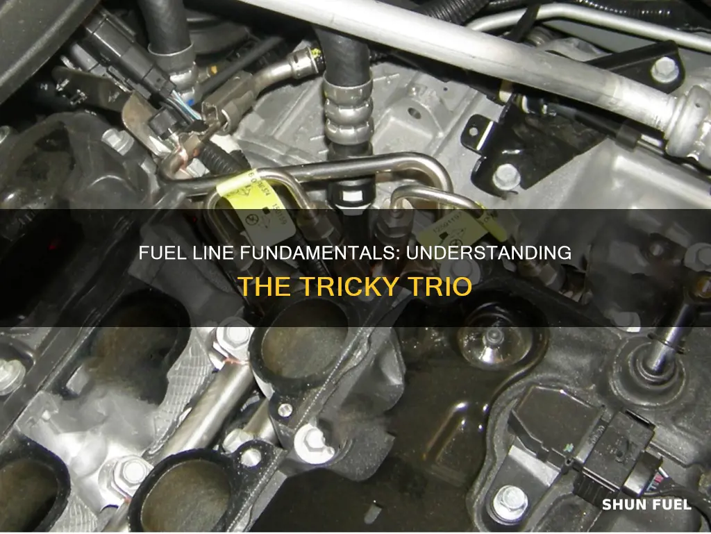 what are the 3 fuel line at engine