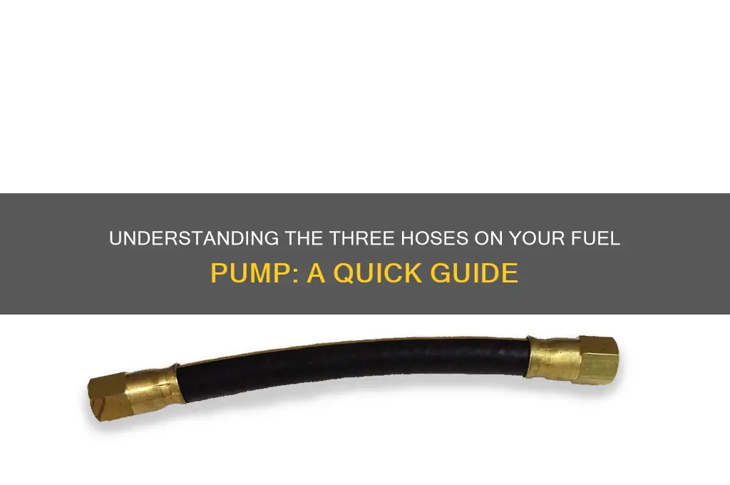what are the 3 hoses on a fuel pump