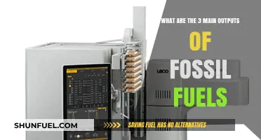 Fossil Fuel's Harmful Byproducts: Carbon, Nitrogen, and Sulfur