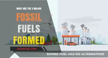 Fossil Fuels: Understanding the Big Three