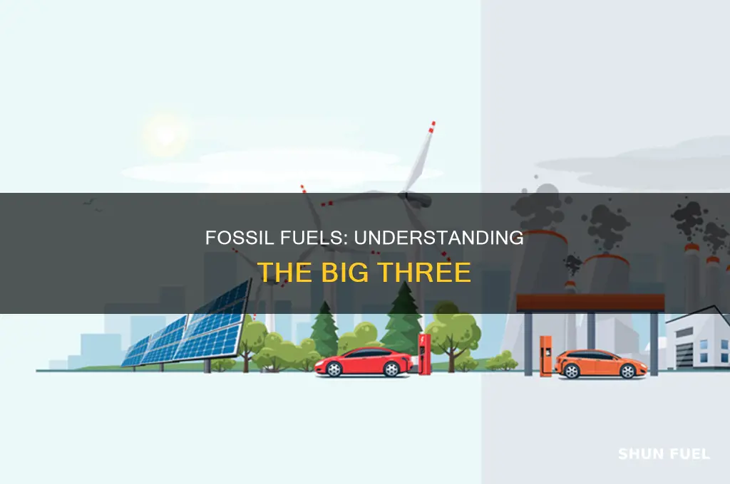 what are the 3 major fossil fuels formed