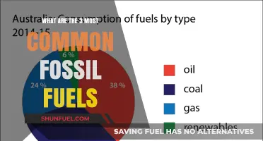 Fossil Fuels: The Three Most Common Energy Sources
