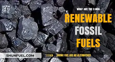 Fossil Fuels: Non-Renewable Energy Sources and Their Impact