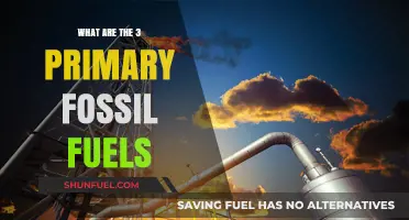 Fossil Fuels: Understanding Oil, Gas, and Coal
