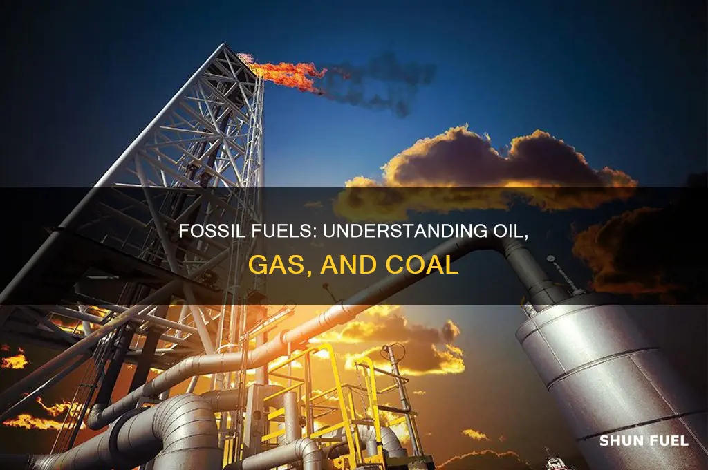 what are the 3 primary fossil fuels