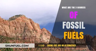 Where Do Fossil Fuels Come From?