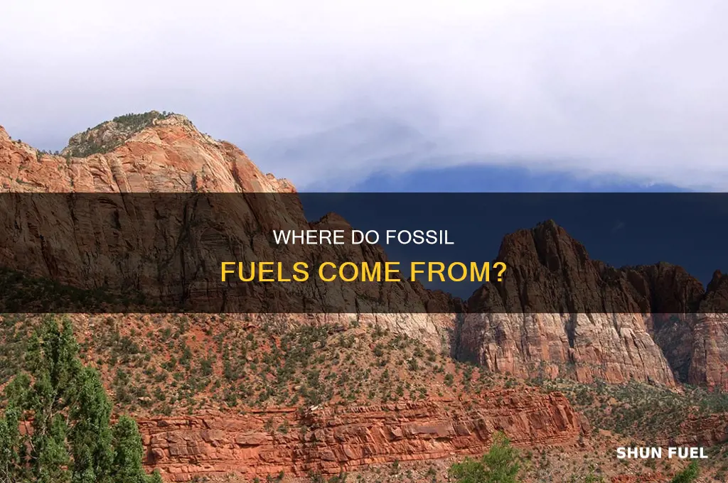 what are the 3 sources of fossil fuels