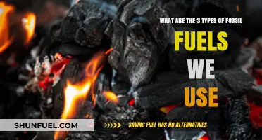 Exploring the Three Primary Fossil Fuels Powering Our World