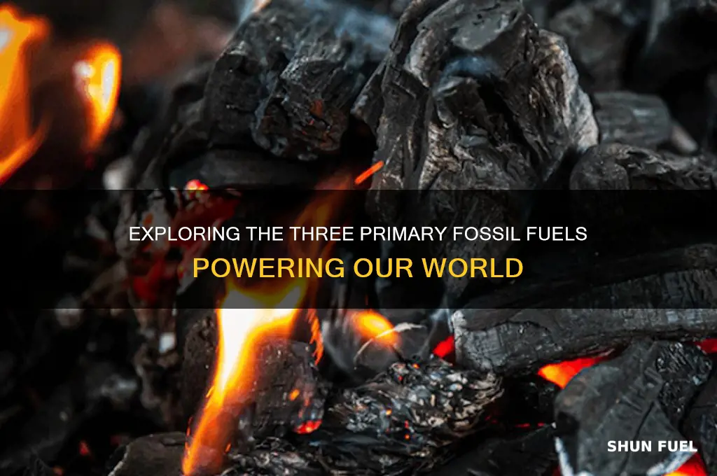 what are the 3 types of fossil fuels we use
