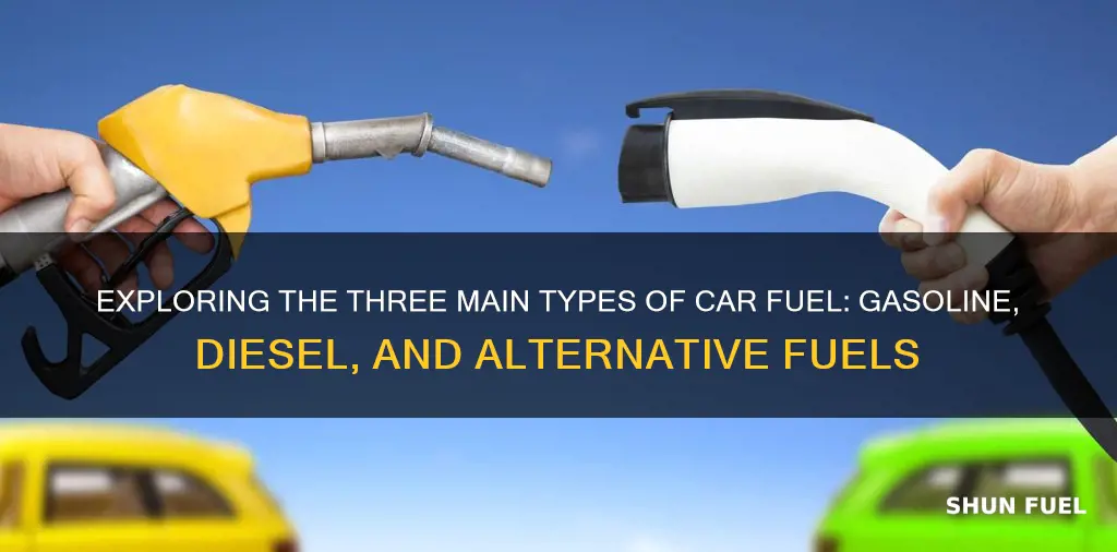 what are the 3 types of fuel for cars