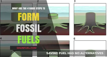 How Fossil Fuels Form: A Four-Step Guide
