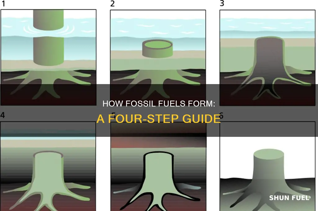 what are the 4 basic steps to form fossil fuels