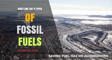 Fossil Fuel Types: Understanding Our Energy Sources