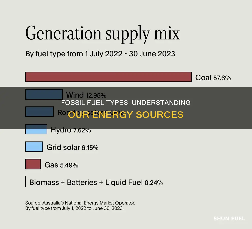 what are the 4 types of fossil fuels