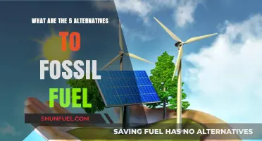 Green Energy Alternatives: Five Fossil Fuel Replacements