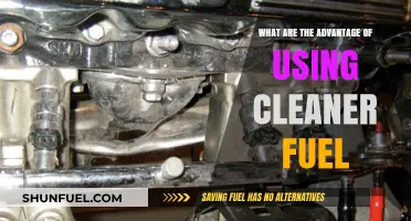 Cleaner Fuel Benefits: Health, Environment, and Economic Advantages Explained