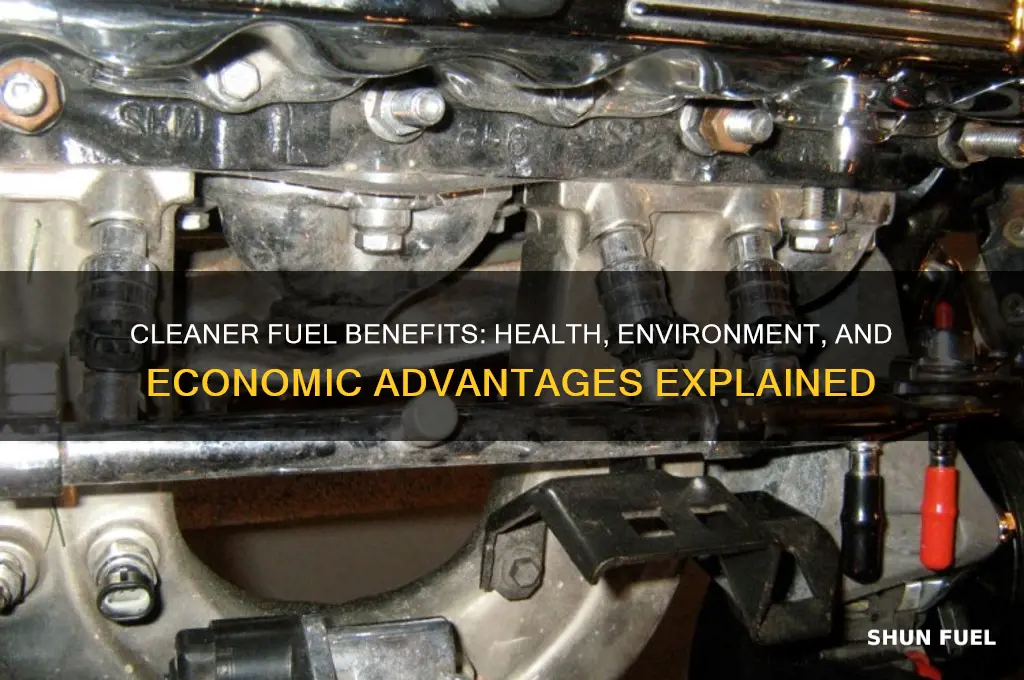 what are the advantage of using cleaner fuel