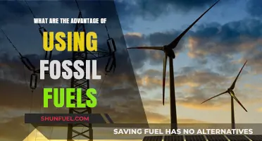 Fossil Fuels: Unlocking Energy, Economic Growth, and Industrial Advantages