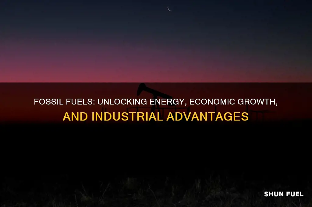 what are the advantage of using fossil fuels