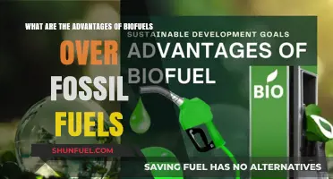 Biofuels: Greener, Sustainable, and Efficient Energy Sources