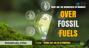 Biomass: A Sustainable, Eco-friendly Fossil Fuel Alternative