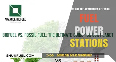 Fossil Fuel Power: Reliable, Affordable, and Efficient Energy Sources