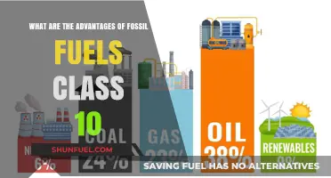 Fossil Fuels: Benefits and Drawbacks for Students