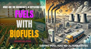 Biofuels: A Sustainable, Greener Alternative to Fossil Fuels