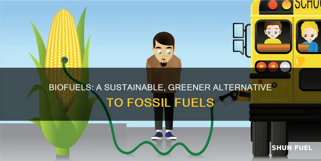 what are the advantages of replacing fossil fuels with biofuels