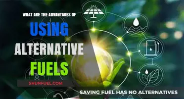Exploring the Benefits of Alternative Fuels for a Sustainable Future