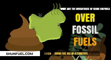 Biofuels vs. Fossil Fuels: Key Advantages for a Sustainable Future