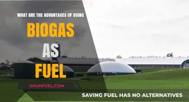 Biogas Fuel Benefits: Clean Energy, Cost Savings, and Sustainability
