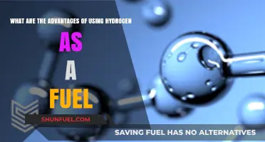 Hydrogen Fuel: Clean Energy Advantages for a Sustainable Future