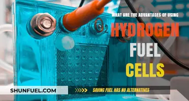 Hydrogen Fuel Cells: Clean Energy Advantages and Future Potential