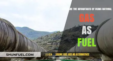 Natural Gas Fuel: Clean, Efficient, and Cost-Effective Energy Solution
