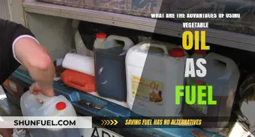 Vegetable Oil as Fuel: Eco-Friendly Benefits and Practical Advantages