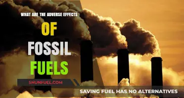 Fossil Fuels: Damaging Our Planet and Health