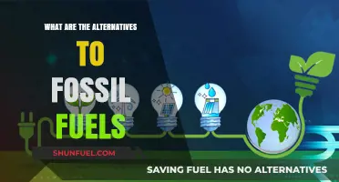 Green Energy Sources: Alternatives to Fossil Fuels