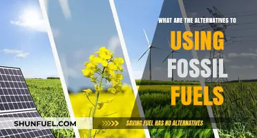 Sustainable Energy Solutions: Exploring Alternatives to Fossil Fuels for a Greener Future
