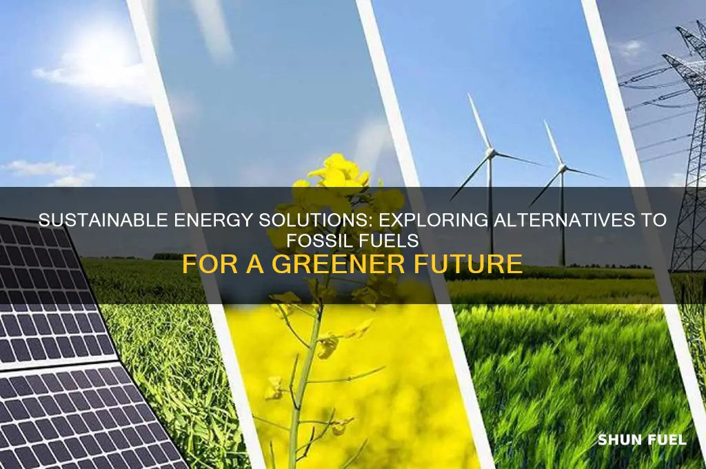 what are the alternatives to using fossil fuels