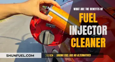 Fuel Injector Cleaner: Enhancing Performance and Efficiency