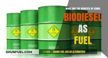 Biodiesel Benefits: Cleaner, Renewable Fuel for a Sustainable Future