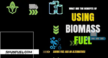 Biomass Fuel: Eco-Friendly Energy Benefits for a Sustainable Future
