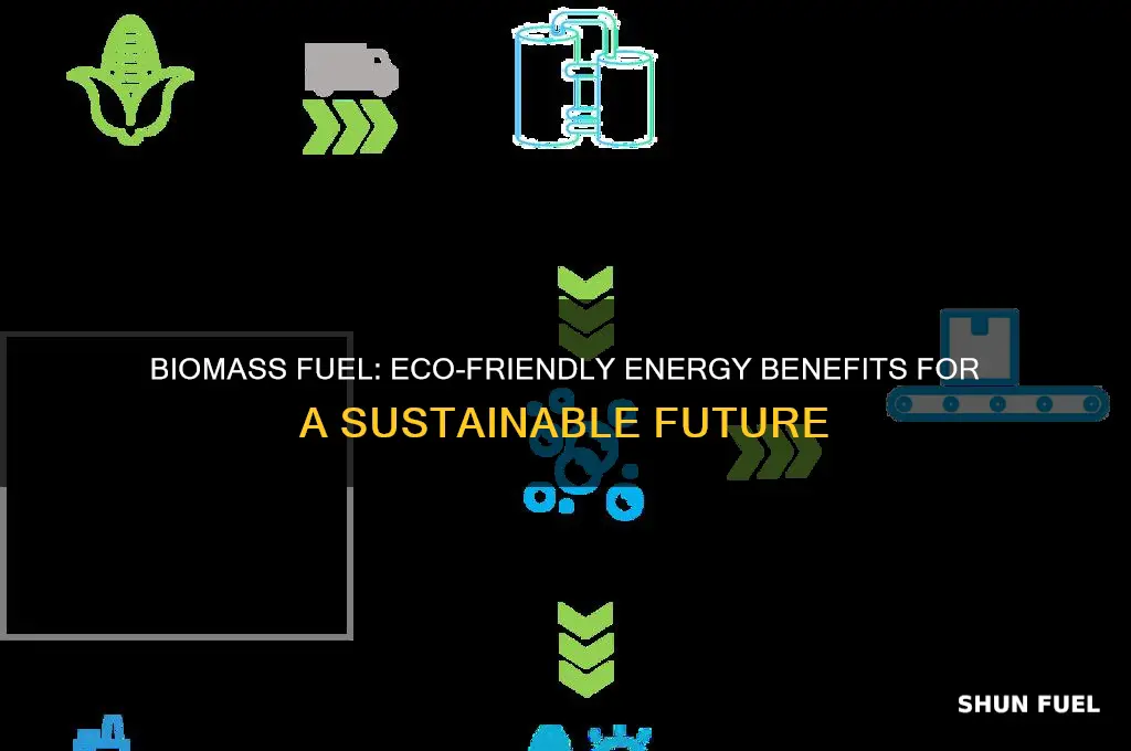 what are the benefits of using biomass fuel