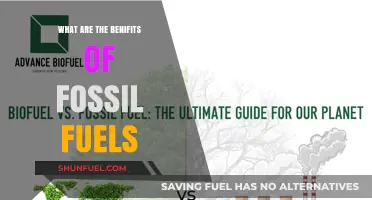 Fossil Fuels: Powering Our World, Pros and Cons