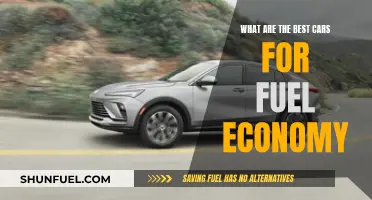 Fuel-Efficient Cars: Top Models Saving You Money