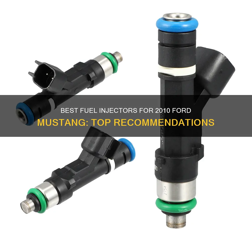 what are the best fuel injectors for 2010 ford mustang