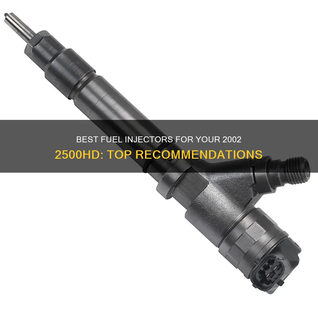 what are the best fuel injectors for a 2002 2500hd