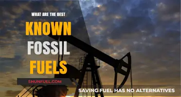 Fossil Fuels: Understanding the Most Common Energy Sources