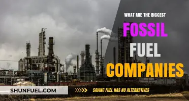 The Biggest Polluters: Fossil Fuel Giants Revealed